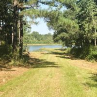 10 Acre Lake on 132 Acres of Timberland images 3