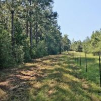 10 Acre Lake on 132 Acres of Timberland images 5