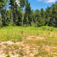56 Acres  Gates Road  Columbia  MS images 6