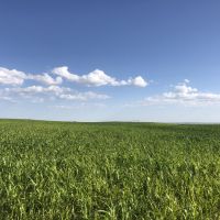 Garden County Pivot images 2
