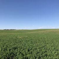 Garden County Pivot images 6