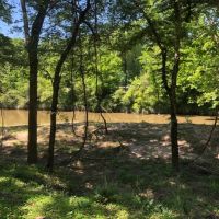 27 Acre Tangipahoa River Tract images 2