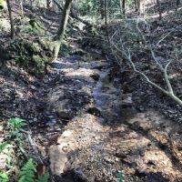 27 Acre Tangipahoa River Tract images 3