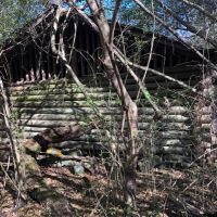 27 Acre Tangipahoa River Tract images 5