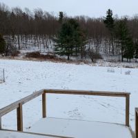 22 acres House with Garage in Hartsville NY 192 Alfred Station Road images 5