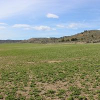 Wood Creek Ranch images 2