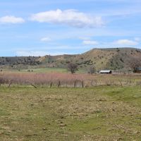 Wood Creek Ranch images 4