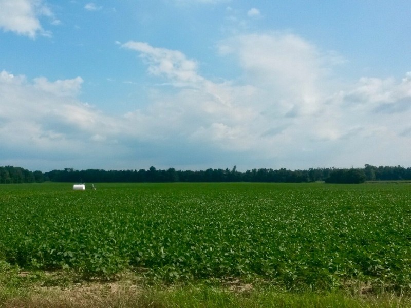 255  - Acres Cropland featured image