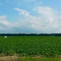255  - Acres Cropland