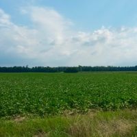 255  - Acres Cropland images 3