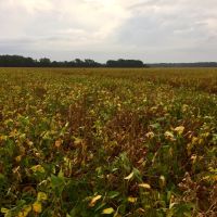 255  - Acres Cropland images 5