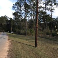 85 acres Lamar County with Red Creek Frontage images 2
