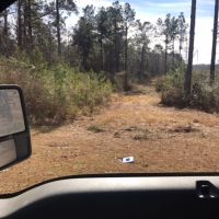 85 acres Lamar County with Red Creek Frontage images 3