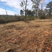 85 acres Lamar County with Red Creek Frontage images 4