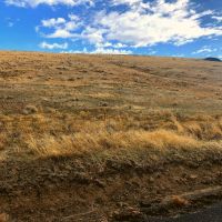 Harris Ranch images 3