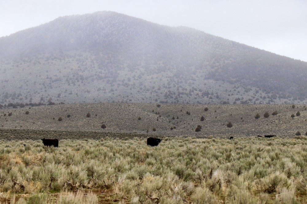Glass Butte Ranch featured image