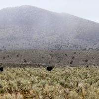 Glass Butte Ranch images 1