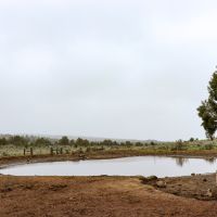 Glass Butte Ranch images 5