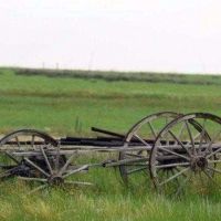 G S Land and Cattle Farm images 3