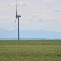 G S Land and Cattle Farm images 4