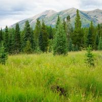 Red Hawk Ranch images 3