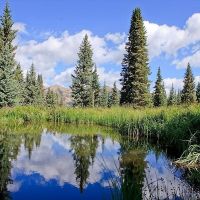 Red Hawk Ranch images 4