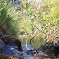 Moser Ranch images 5