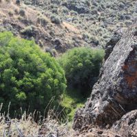 Moser Ranch images 6