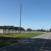 198 Hwy 583 Tylertown images 4