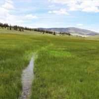 Los Creek Ranch images 4