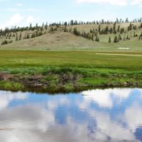 Los Creek Ranch images 5
