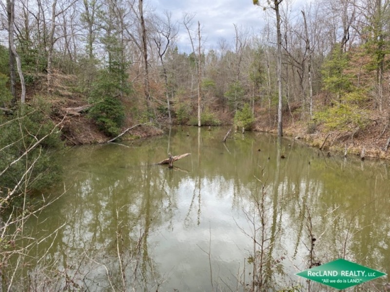 52 ac - Recreational Tract with Some Pine Plantation featured image