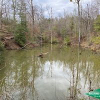 52 ac - Recreational Tract with Some Pine Plantation