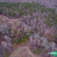 52 ac - Recreational Tract with Some Pine Plantation images 4