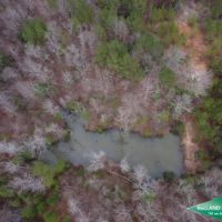 52 ac - Recreational Tract with Some Pine Plantation images 5
