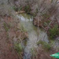 52 ac - Recreational Tract with Some Pine Plantation images 6