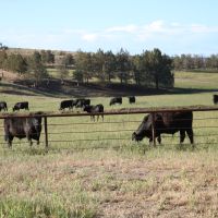 Johnson Creek Ranch images 5