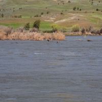 Horseshoe Bar Ranch on the John Day River images 4