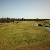 No Bad Days River Retreat images 4