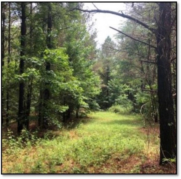 88.58 in Lafayette County in Oxford  MS featured image