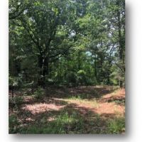 88.58 in Lafayette County in Oxford  MS images 3