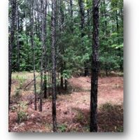 88.58 in Lafayette County in Oxford  MS images 5