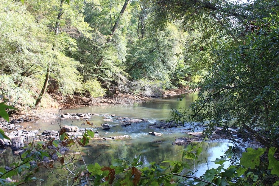 9 000 Feet of Creek Frontage featured image