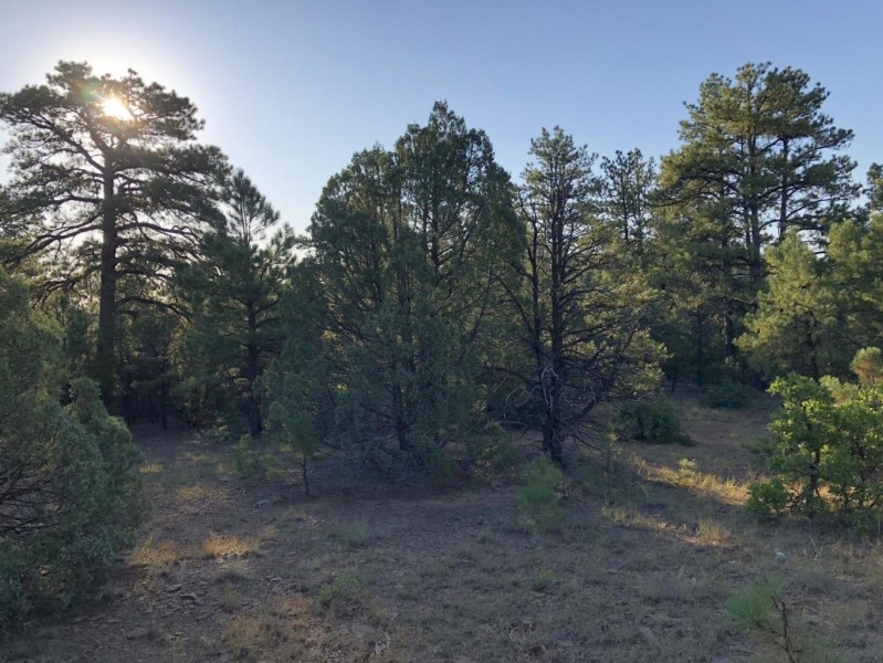 158 Blackhawk Ranch featured image