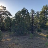 158 Blackhawk Ranch