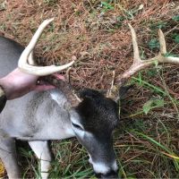 598 Acres in Holmes County in Goodman  MS images 3