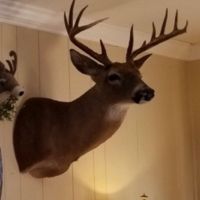 598 Acres in Holmes County in Goodman  MS images 4
