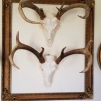 598 Acres in Holmes County in Goodman  MS images 5