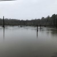 77AC Hunting  Timber  Homesite images 3