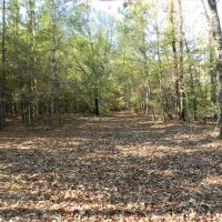 77AC Hunting  Timber  Homesite images 6